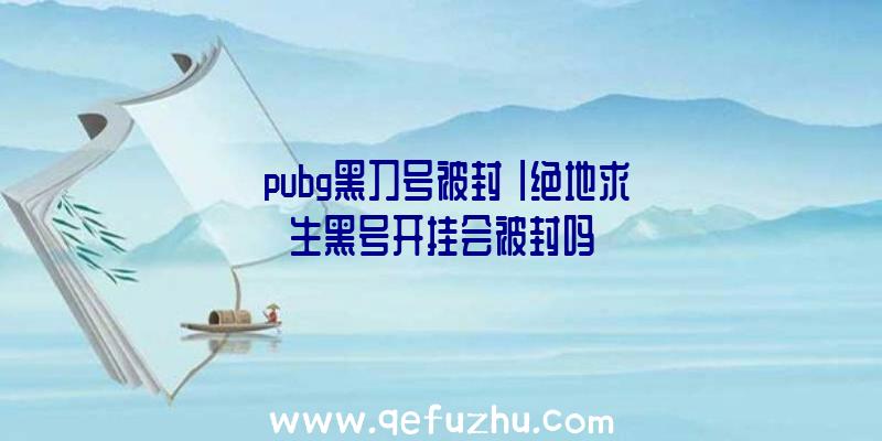 「pubg黑刀号被封」|绝地求生黑号开挂会被封吗